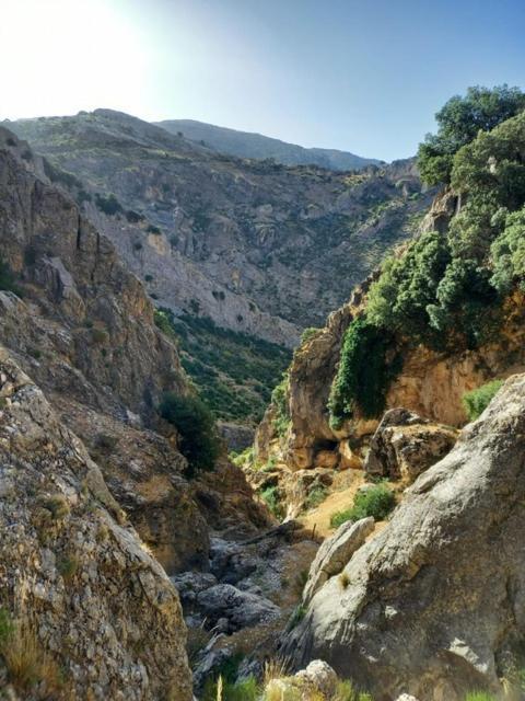 Los Carriones Cave Holidays Andalucia מראה חיצוני תמונה